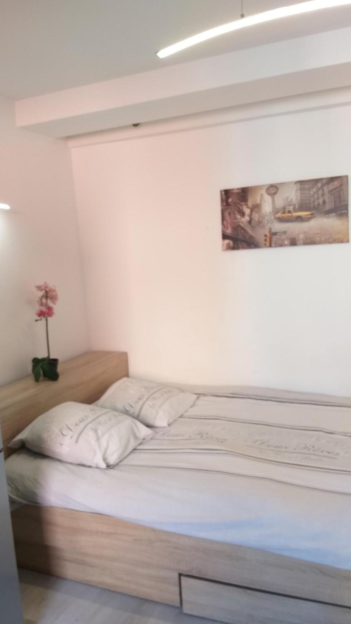 Magnifique Studio Au Coeur Historique De Fréjus Dış mekan fotoğraf